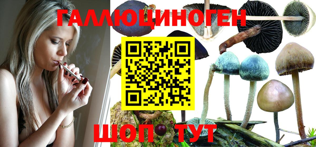 Псилоцибиновые грибы мухоморы  Галлюциногенные грибы Psilocybine cubensis  купить наркоту  Дубна  Вход с VPN 